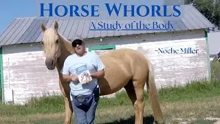 Horse Whorls; A Study of the Body