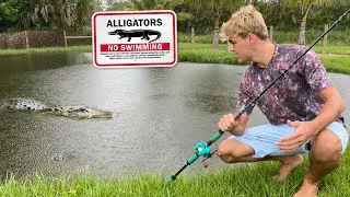 ALLIGATOR Snuck into My BACKYARD & ATE My ANIMAL!!