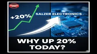 why Salzer Electronics move 20% today