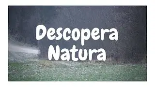 Wildlife photography/Descopera Natura!  -4 grade, o zi mohorata dar cu o SURPRIZA!