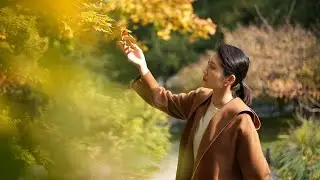 Autumn unfolds its splendor along the Beijing Central Axis