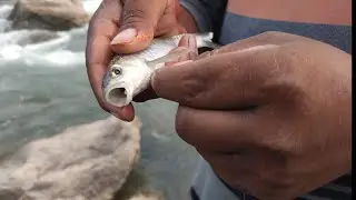Fishing 🎣 in Melamchi River with homemade fishing rod.