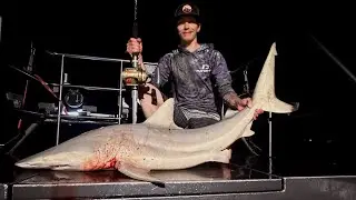 | 5 1/2Ft. Black Tip! - Texas Shark fishing |