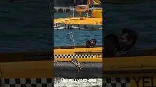 Tour de Sydney, Casa de la Opera, Harbour Bridge y Explorando la Ciudad M&aacute;s Ic&oacute;nica de Australia