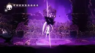 Radiant Grey Prince Zote 15 times in a row