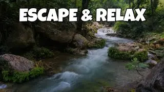 Escape and Relax in 10 Calming Rainforests!