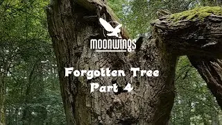 Forgotten Tree - Part 4 - Dynamic Awakening - Music by MoonWings