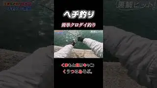 【ヘチ釣りチヌ】冬でも意外と簡単に釣れる黒鯛釣り　#クロダイ　#チヌ　#ヘチ釣り