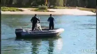 Ribolov soma 36kg... Drava Križnica