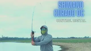 Reel Shimano Curado DC en Acci&oacute;n
