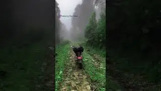 Phalelung Panchthar scenery | beautiful place 💥🌷 | subscribe channel | #panchthar #beauties
