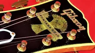Have You Seen All 5? | Unique Gibson Guitar Hunting on Reverb