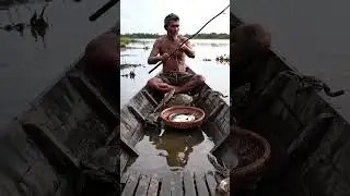 Life On River Wildlife Amazon Fishing 🎣🦈 #wildlife #fishing #fish #amazon