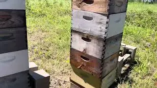 GARDNER APIARY! Part 1 of 3. Pre work game planning.