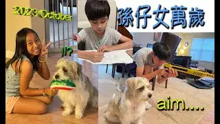 Danny Summer 夏韶聲 - 孫仔女萬歲:今年很快就會過去2023 .