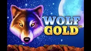Aula de Slots WOLF GOLD ( PP )