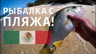 Fishing Patrol: Mexico | Playa del Carmen 🇲🇽