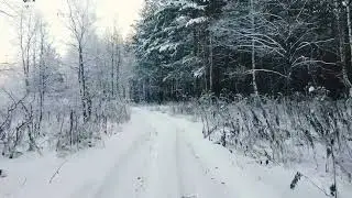 Snowy road to best place in world. Winter forest