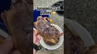 Caught some dinner #crabbing #crab #dungenesscrab #camanoisland #camano #delicious #yummy  #yum