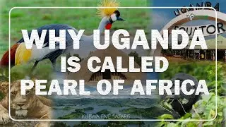 Why Uganda Is Called The Peal of Africa