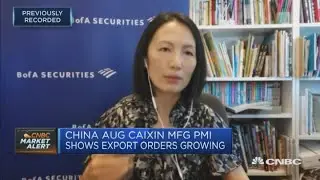 Caixin data suggests China's manufacturing recovery pace is 'accelerating': BofA Securities