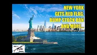 New York Passes 6 NEW Anti Gun Laws