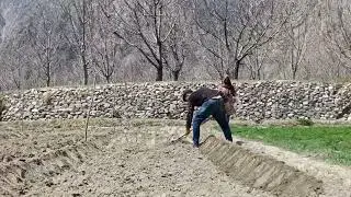 Real Life in Hunza North Pakistan