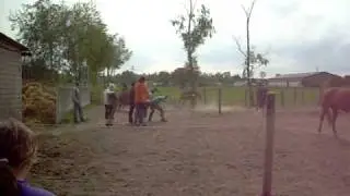 Vasal rennt