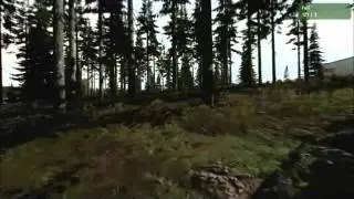 Arma II Paintball Field