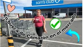 Fuimos al mercado a comprar camarones 🍤 sembrando mis plantas 🩷 preferidas 🌱🪏🌷🌷
