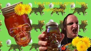 The ONLY Dandelion Syrup Recipe You&rsquo;ll EVER Need! | Poor Man&rsquo;s Honey | Dandelion Honey
