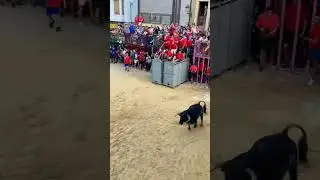 Spain traditional Game😱