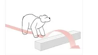 Jumping animated bear