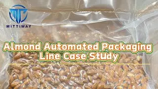 Almond Automated Packaging Line Case Study: Dried Fruit Bag Inserter Machine and Sealing Machine