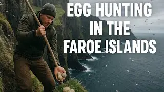 Egg Hunting in the Faroe Islands