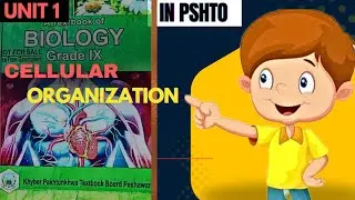 What is Cellular organization? Kpk class 9th biology chapter 1: