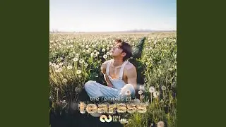 tearsss (fairytale mix)