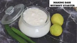 Making dahi without jaman | Curd without starter |Dahi without jaman