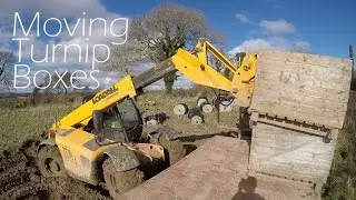 Moving Boxes in Turnip Field with JCB