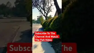 OC Walking: The Usual Neighborhoods