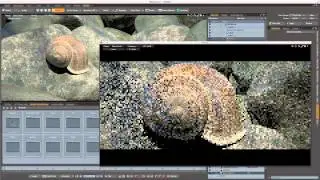 MODO - Rendering
