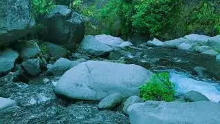 The Sound That Heals, Restorative River Flow for Stress Reduction