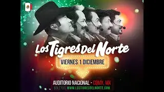 Fragmento del concierto Tigres del Norte en Auditorio Nacional Diciembre 2 2017