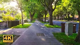 【4K HDR】Griffith Avenue - Dublin - Longest Tree Lined Residential Avenue in Europe