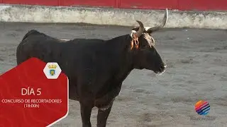 Fiestas de Cascante Día 5 Concurso de Recortadores con Anillas