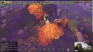 Silver Scramble: Hardcore Grinding for Premium in Albion Online