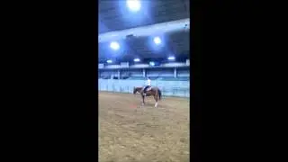 Reining Prospect for Sale, asking $5,000.00