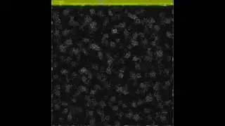 GPU Particles In Unity