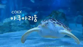 첫 출장! 코엑스 아쿠아리움 다녀왔어요