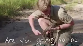 Robert and Steve Irwin bit by carpet pythons years apart